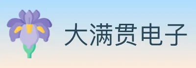 大满贯电子 logo